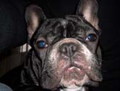 �ե����֥�ɥå�